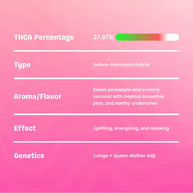 Live Hash Rosin Pina Colada Gummies