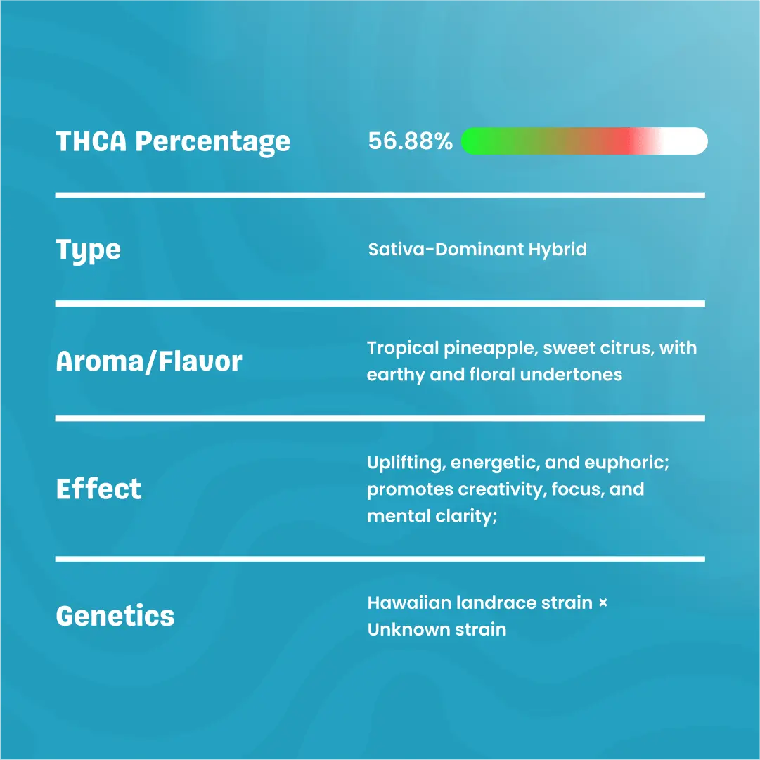 Bay Smokes Live Resin THCa Cart Maui Wowie