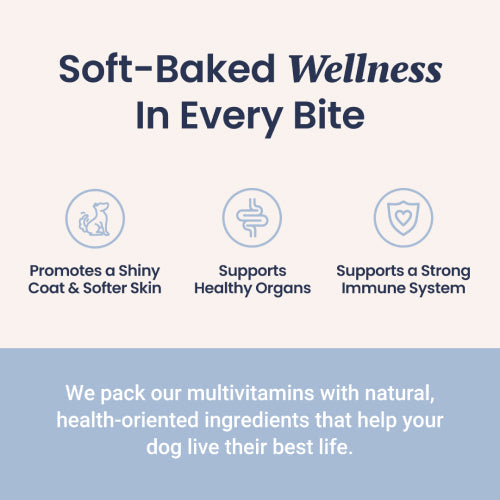 Holistapet Multivitamin Soft Chews For Dogs