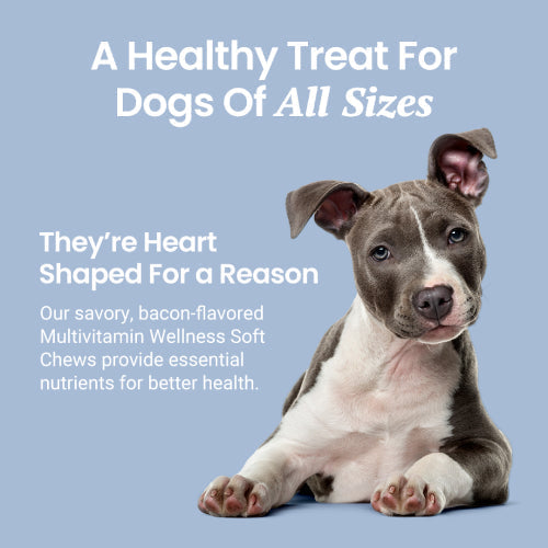 Holistapet Multivitamin Soft Chews For Dogs