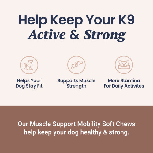 Holistapet Muscle Support Soft Chews for Dogs