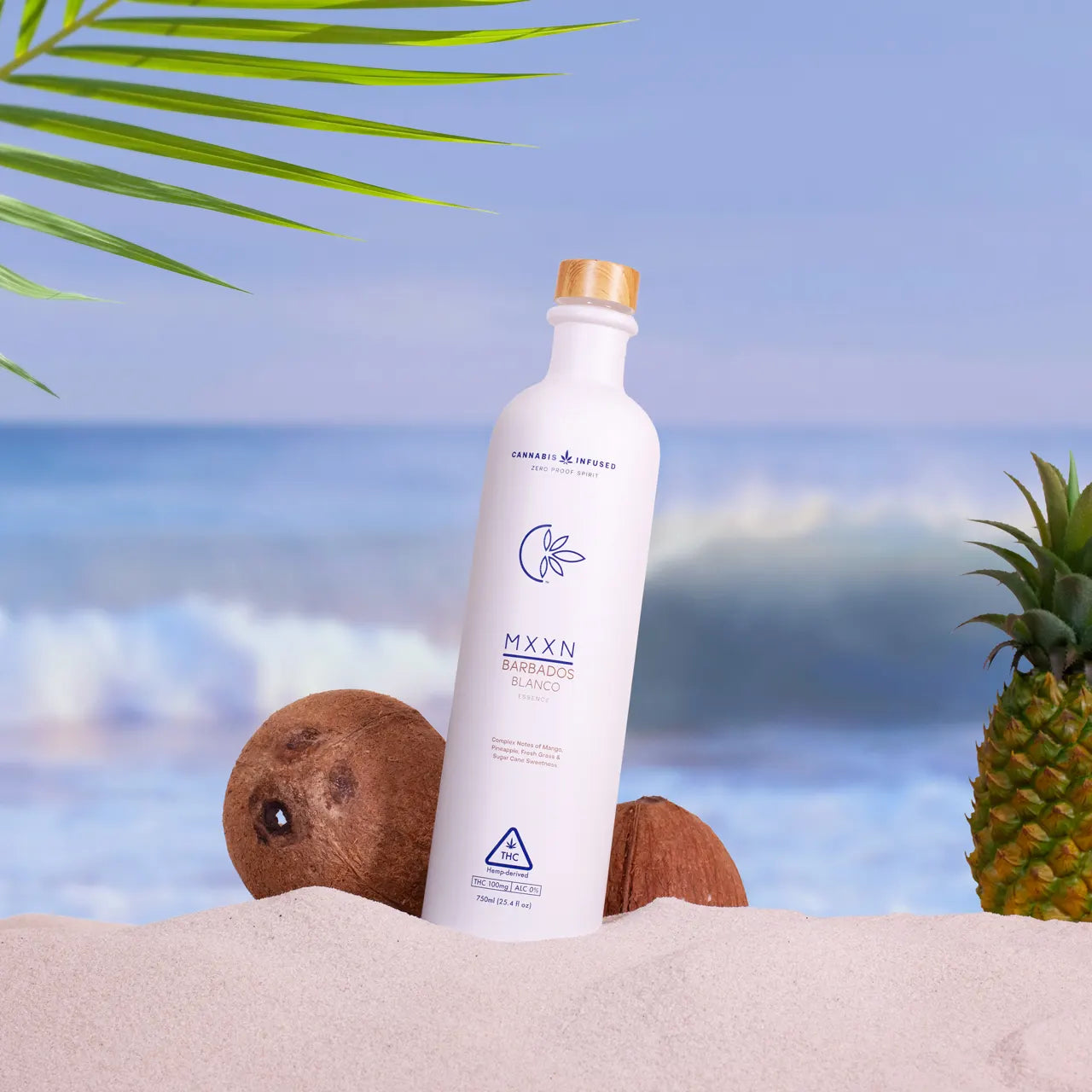 MXXN Barbados Blanco Best Sales Price - Seltzers