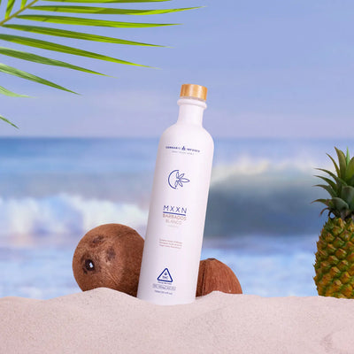 MXXN Barbados Blanco Best Sales Price - Seltzers