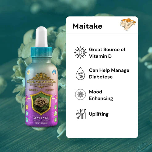 Royal Mushroom Maitake Mushroom Oil Tincture 60ml Best Sales Price - Tincture Oil