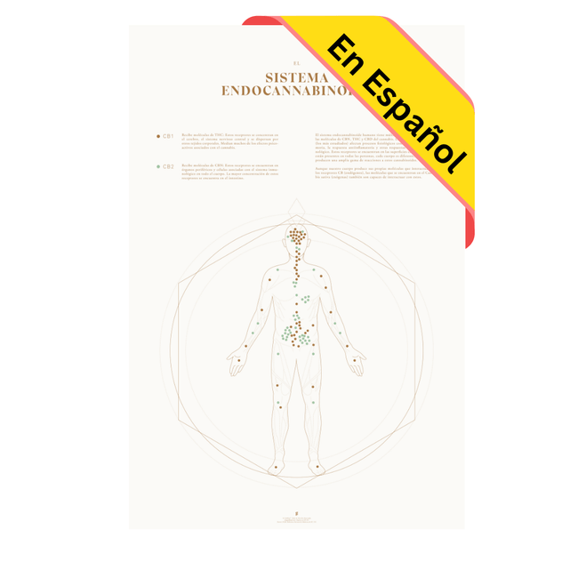 GoldLeaf Mapa de la Sistema Endocannabinoide Impresión Best Sales Price - Art Prints