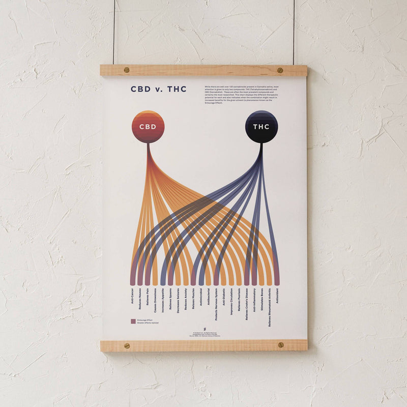GoldLeaf CBD v. THC Comparison Chart Print Best Sales Price - Art Prints