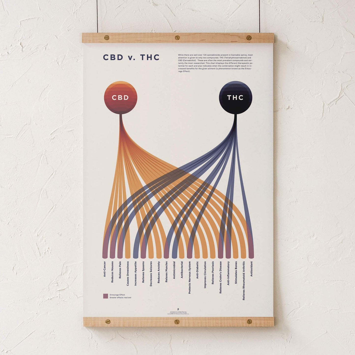 GoldLeaf CBD v. THC Comparison Chart Print Best Sales Price - Art Prints