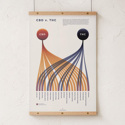 GoldLeaf Cuadro Comparativo de CBD vs. THC Best Sales Price - Art Prints