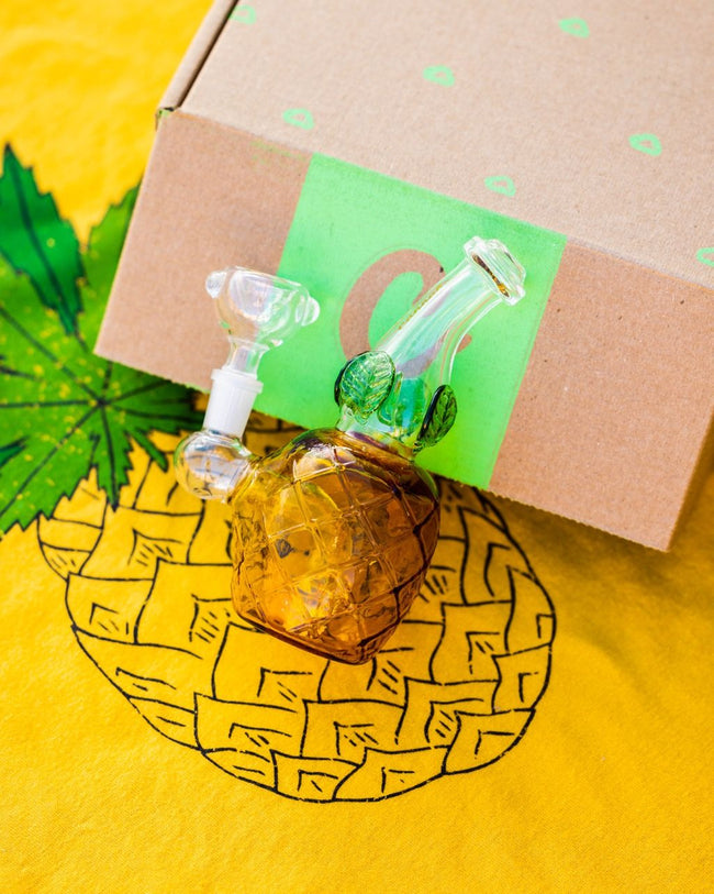 Cannabox Only Glass February 2026