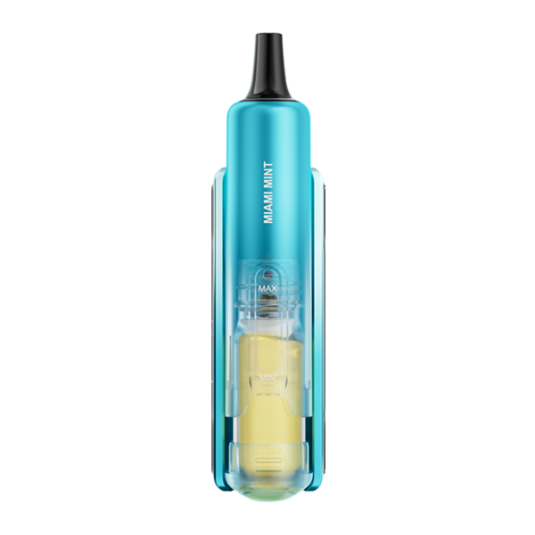 Miami Mint Lost Mary Nera Fullview Kit