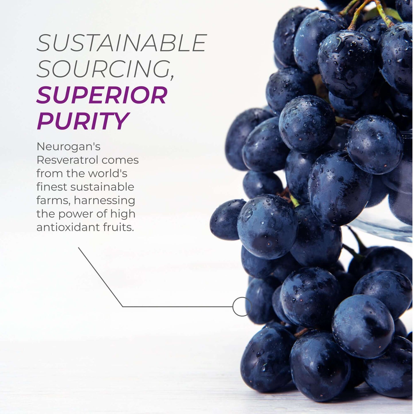 Neurogan Health NMN + Resveratrol Capsules