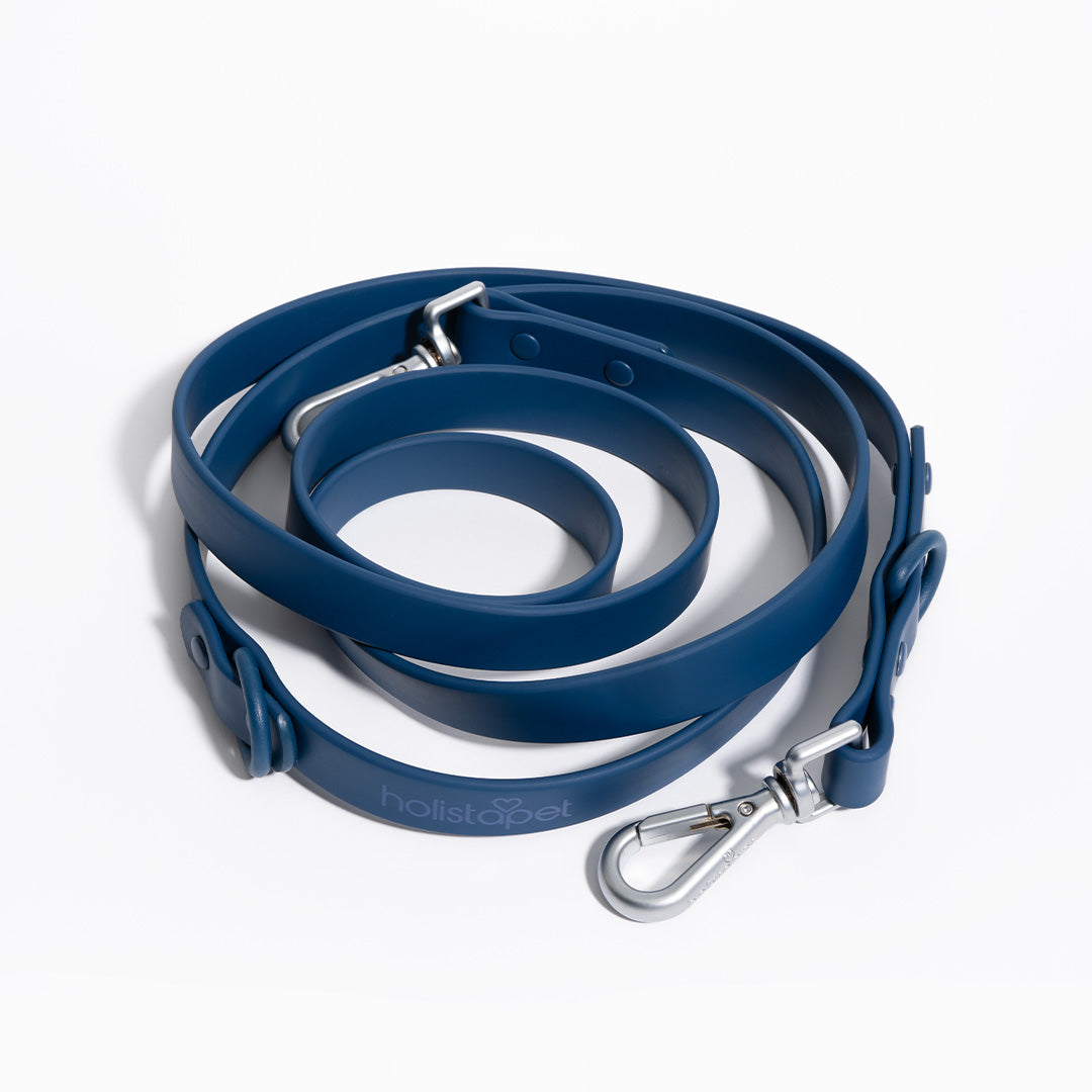 Holistapet Dog Leashes