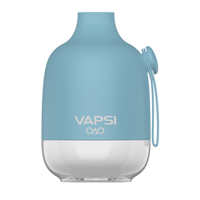 Vapsi OAO Disposable 6000 Puffs 12mL Best Sales Price - Disposables