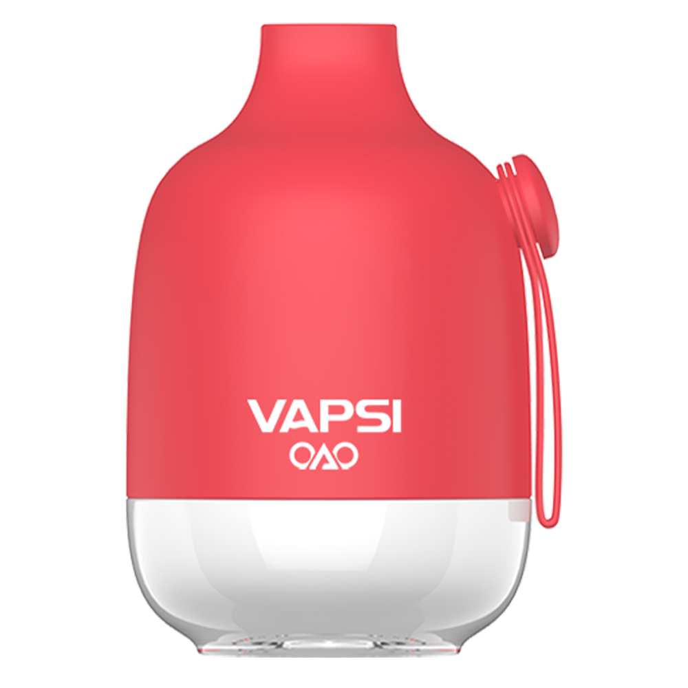 Vapsi OAO Disposable 6000 Puffs 12mL Best Sales Price - Disposables