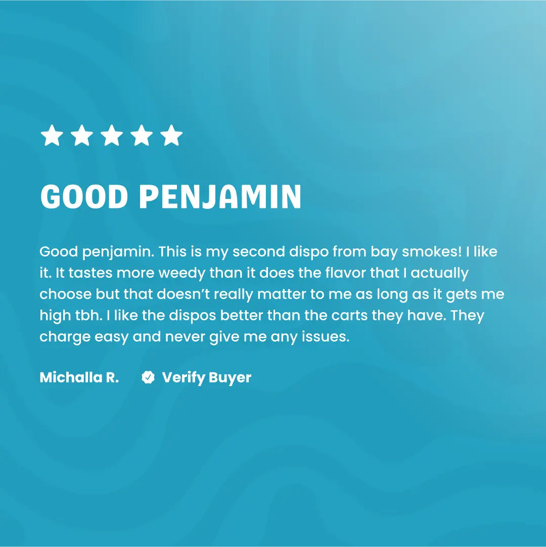 Bay Smokes Only Gas - THCa Disposable Vape (1G)