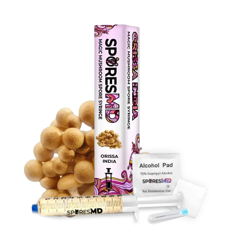 SporesMD Orissa India Mushroom Liquid Culture (10ml)