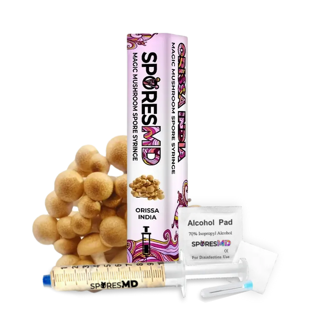 SporesMD Orissa India Mushroom Liquid Culture (10ml)