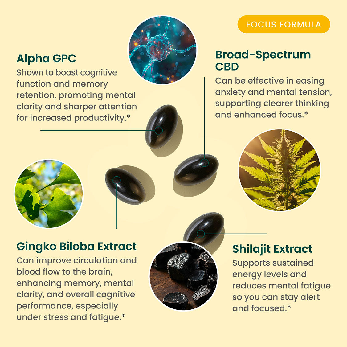 R&R CBD Focus Softgels