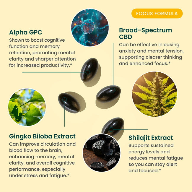 R&R CBD Focus Softgels