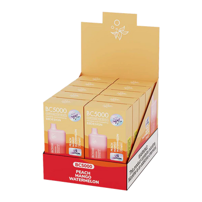 PEACH MANGO WATERMELON Elf Bar BC5000 Vape Flavor Best Sales Price - Disposables