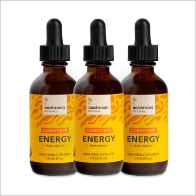 Mushroom Revival Energy Cordyceps Tincture Best Sales Price - Tincture Oil