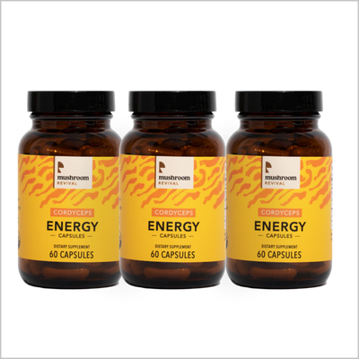 Mushroom Revival Energy Cordyceps Capsules Best Sales Price - Edibles