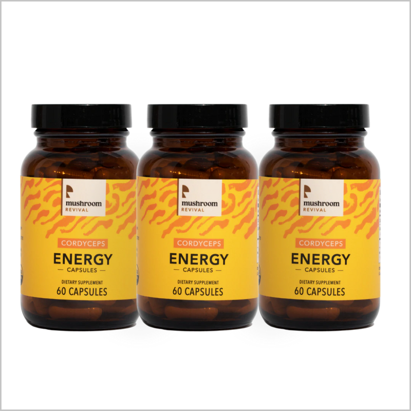 Mushroom Revival Energy Cordyceps Capsules Best Sales Price - Edibles