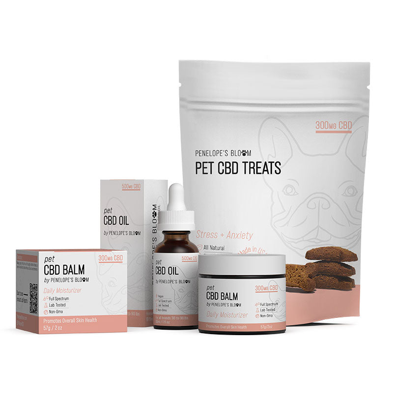 CBD for Dogs – Stress + Anxiety Bundle Best Sales Price - Pet CBD