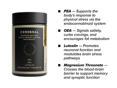 PlusCBD Cerebral - Cognitive Support 60ct Best Sales Price - Gummies