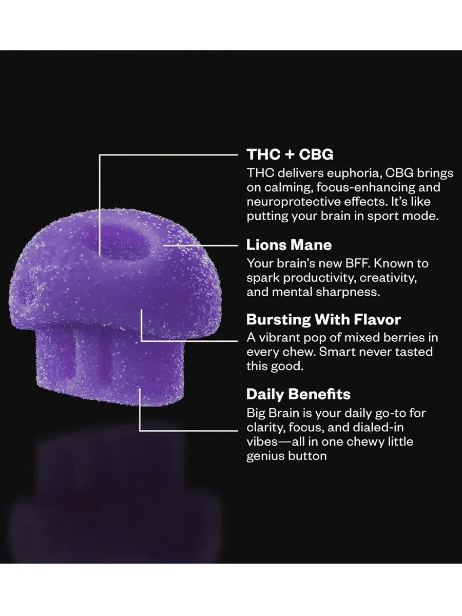 Mixed Berry Munchies Functional Microdose Big Brain Gummies 20ct