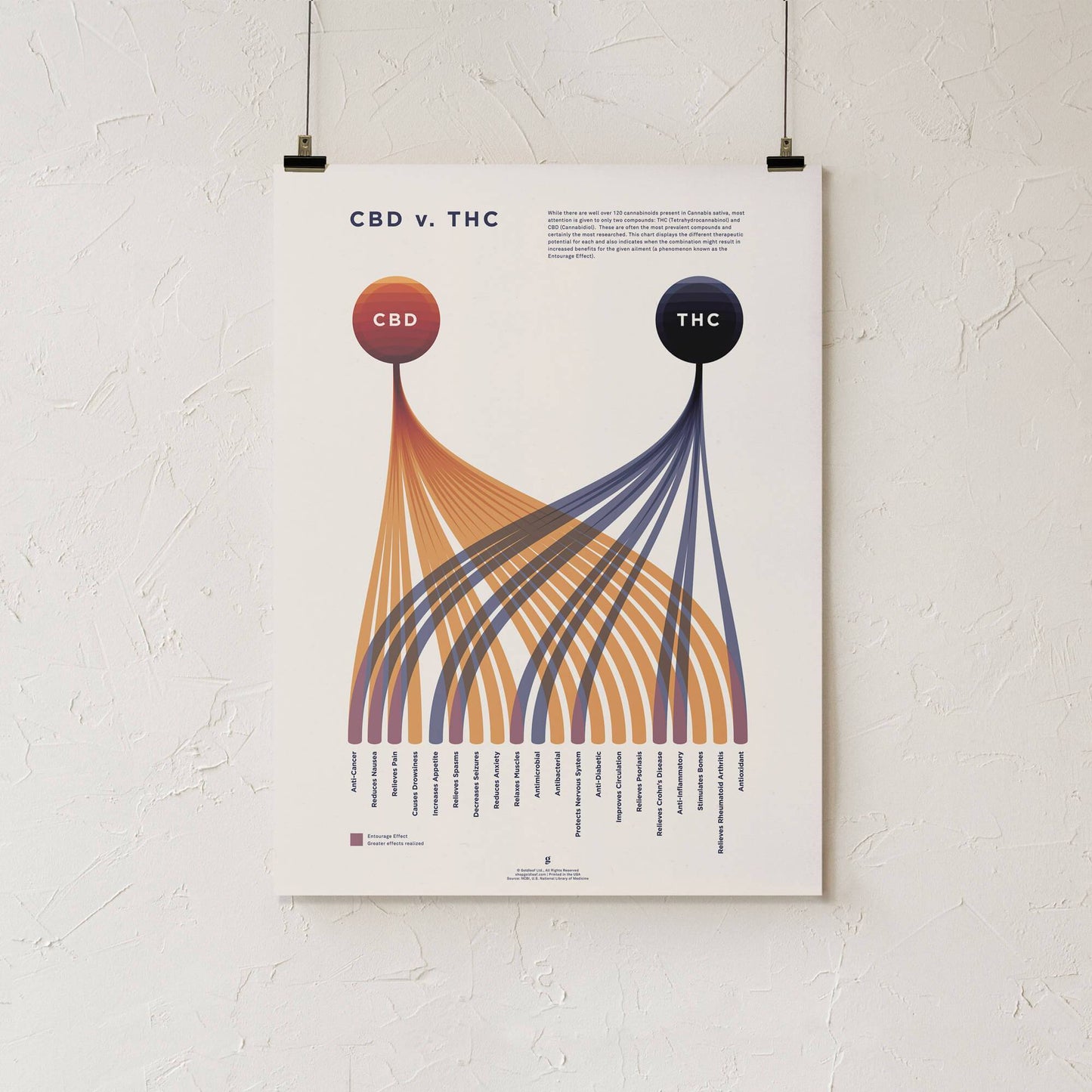 GoldLeaf Cuadro Comparativo de CBD vs. THC Best Sales Price - Art Prints