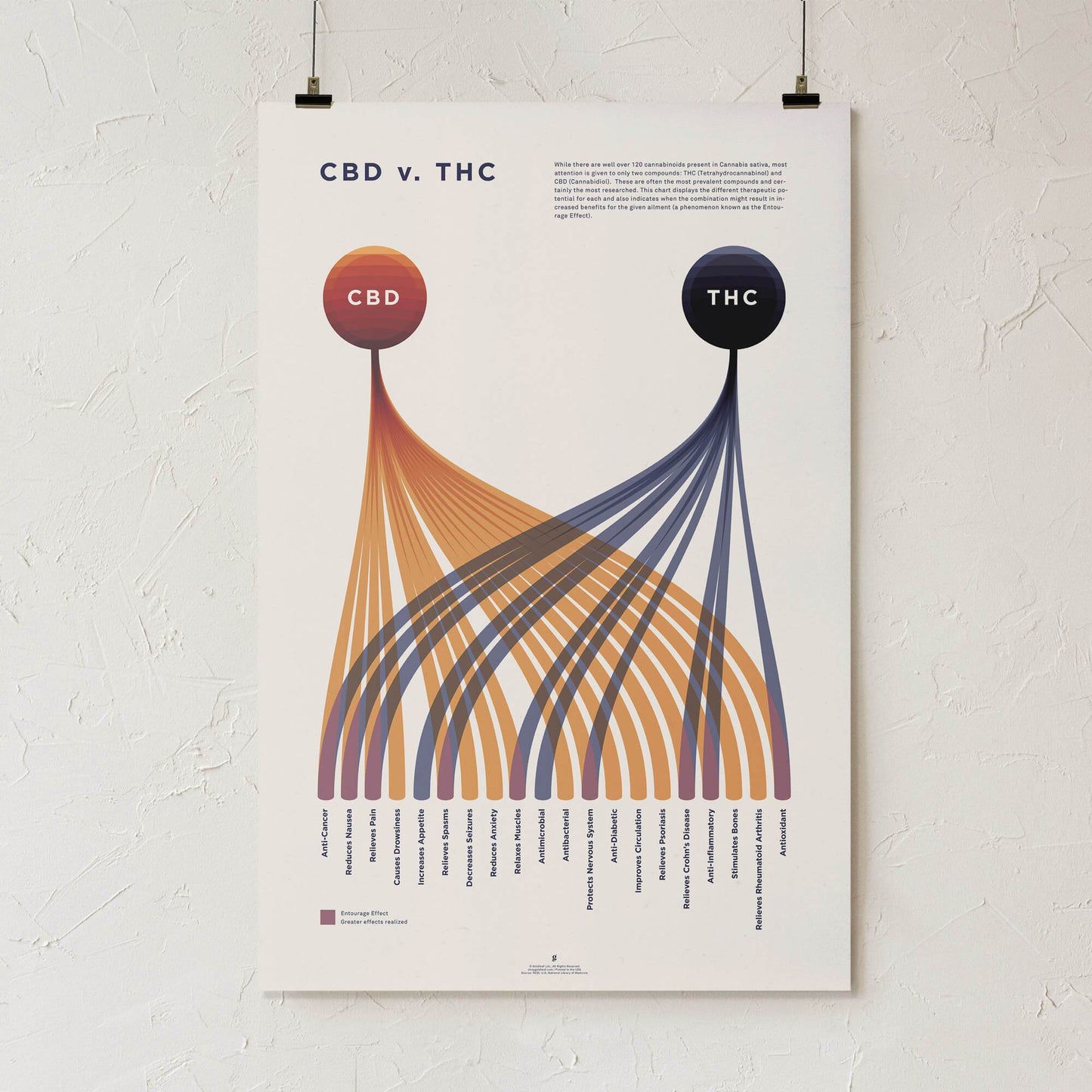 GoldLeaf CBD v. THC Comparison Chart Print Best Sales Price - Art Prints