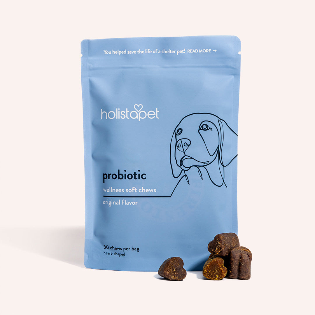 Holistapet Probiotics For Dogs [Soft Chews]