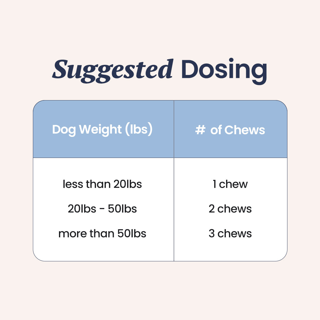 Holistapet Probiotics For Dogs [Soft Chews]