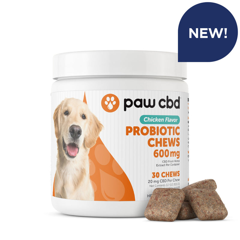 Paw CBD Broad Spectrum CBD Dog Probiotic Chews Best Sales Price - Pet CBD