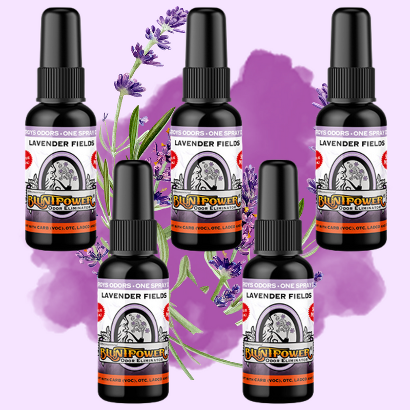 Lavender Air Freshener Spray Best Sales Price - Smoke Odor Eliminators