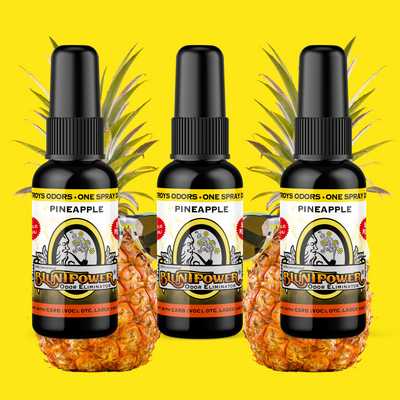 Pineapple Long Lasting Air Freshener Spray Best Sales Price - Smoke Odor Eliminators