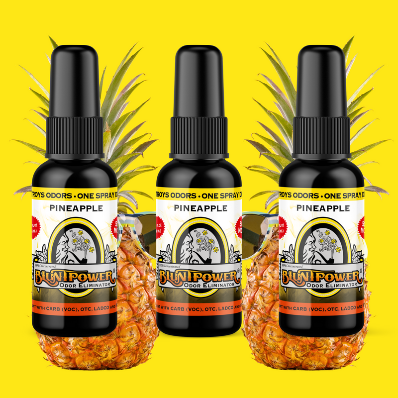 Pineapple Long Lasting Air Freshener Spray Best Sales Price - Smoke Odor Eliminators