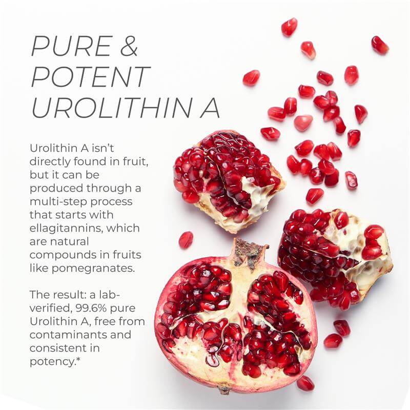 Neurogan Health Urolithin A Pro Capsules