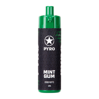 Mint Gum PYRO 12000 Best Sales Price - Disposables