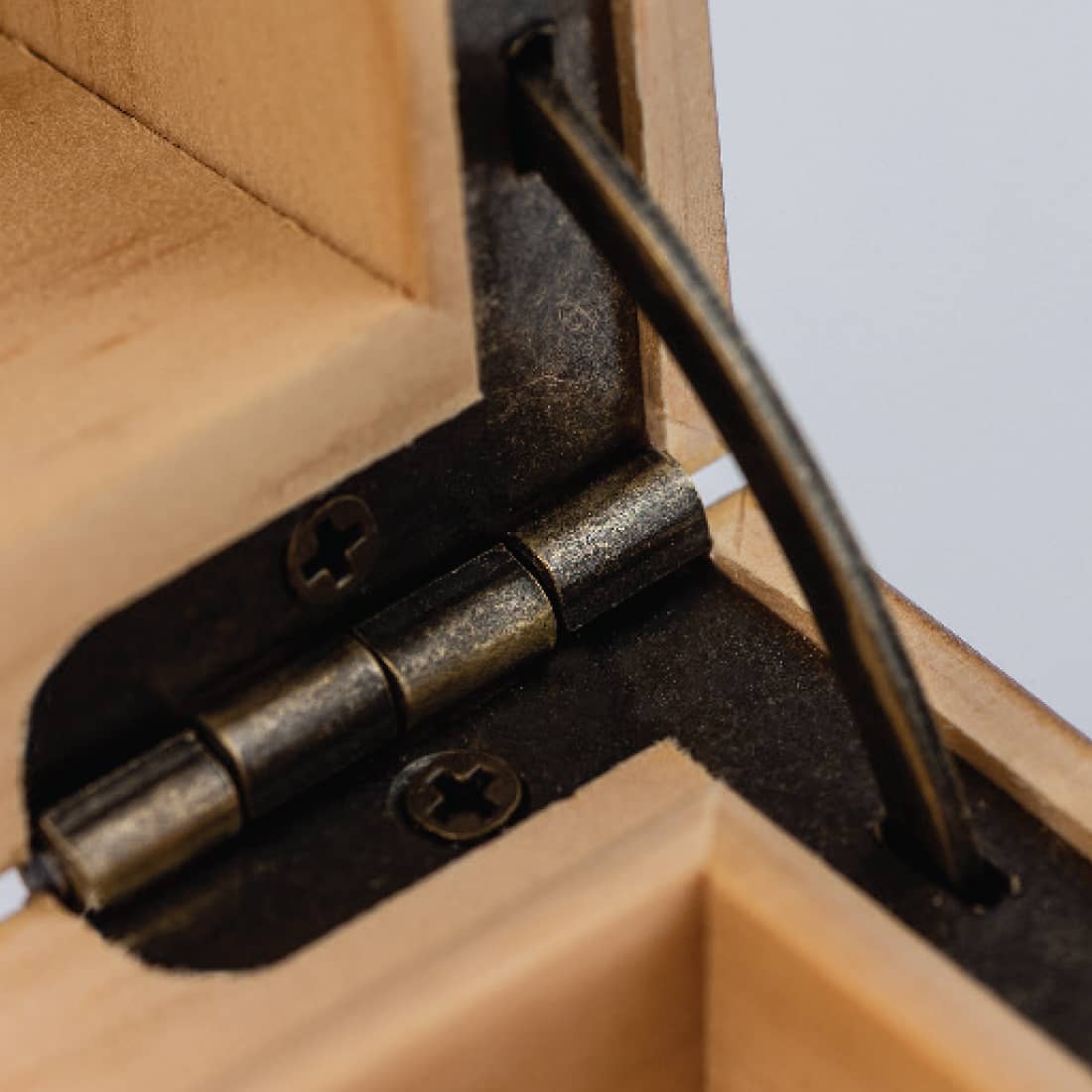 Humidor Walnut Combo Box (8×11)