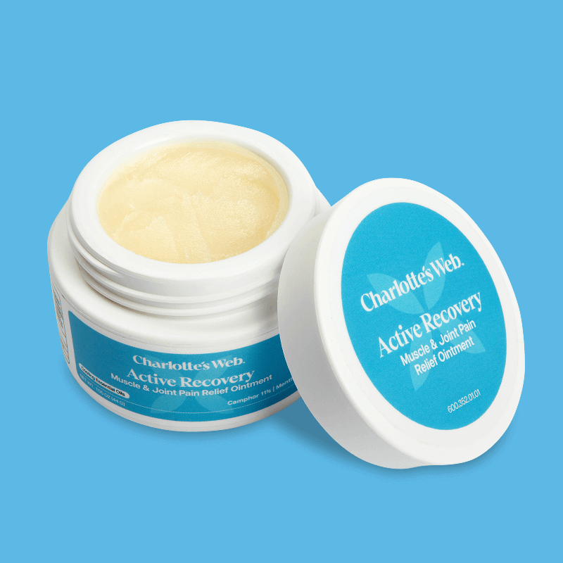 Charlotte's Web Active Recovery Muscle & Joint Pain Relief Ointment