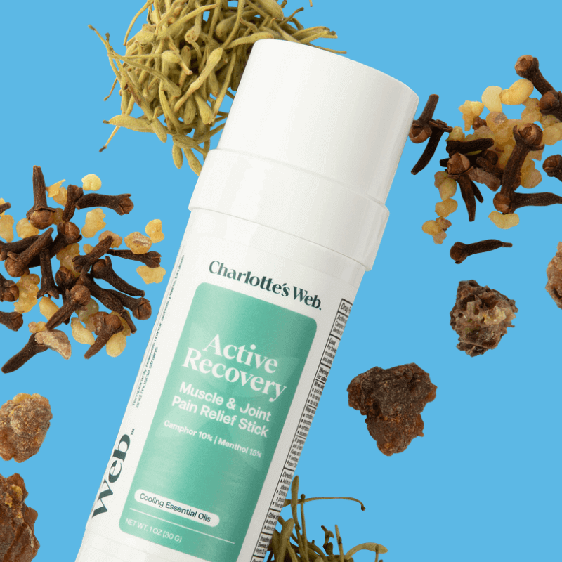 Charlotte's Web Active Recovery Muscle & Joint Pain Relief Stick