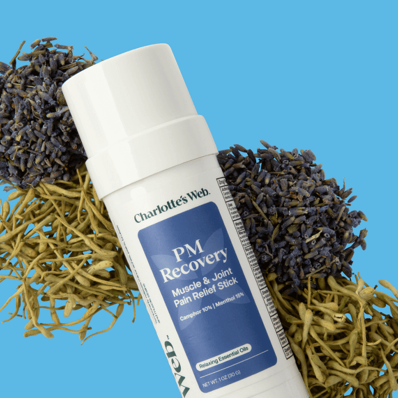 Charlotte's Web PM Recovery Muscle & Joint Pain Relief Stick