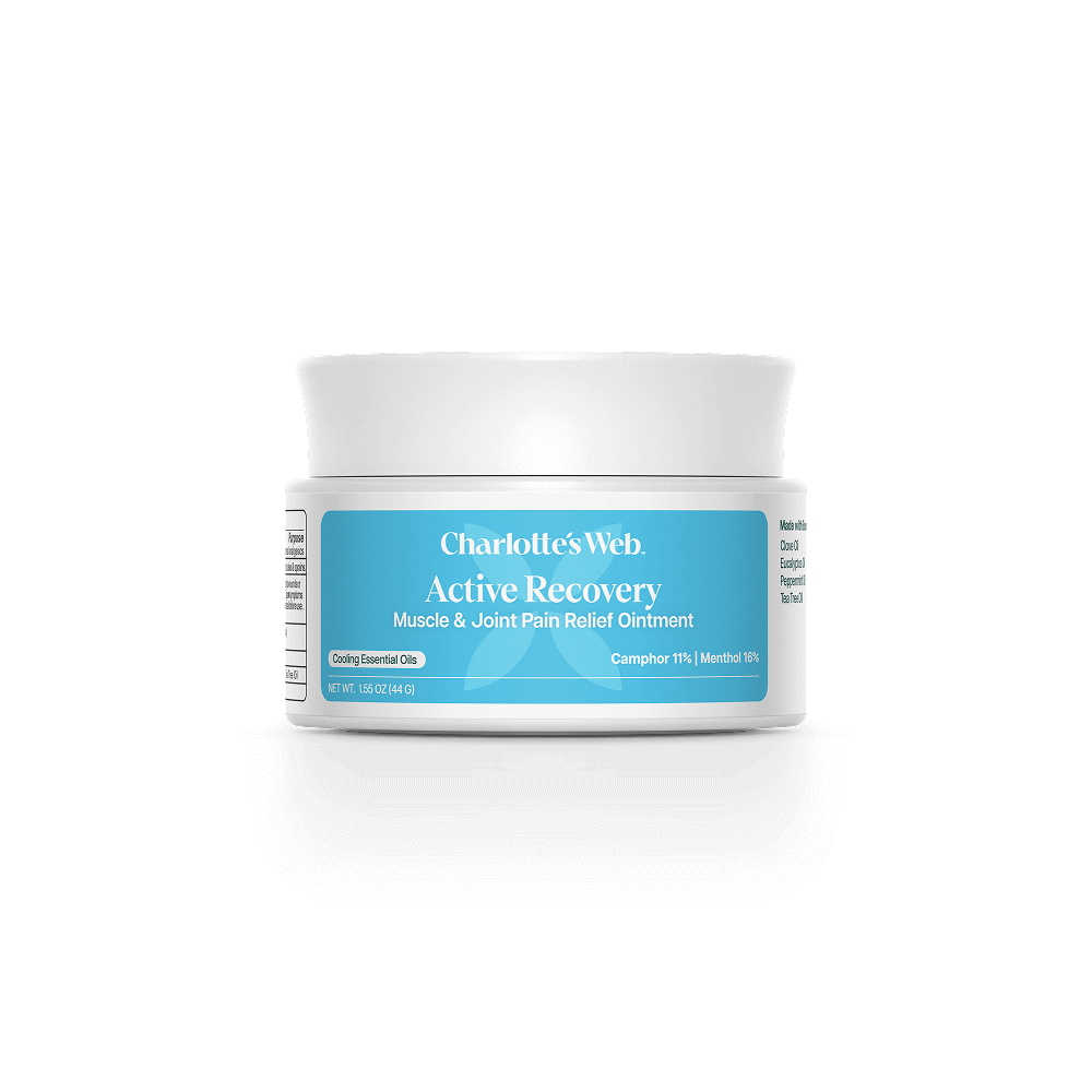 Charlotte's Web Active Recovery Muscle & Joint Pain Relief Ointment