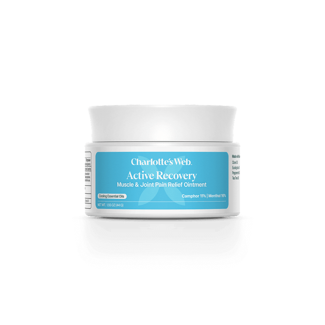 Charlotte's Web Active Recovery Muscle & Joint Pain Relief Ointment