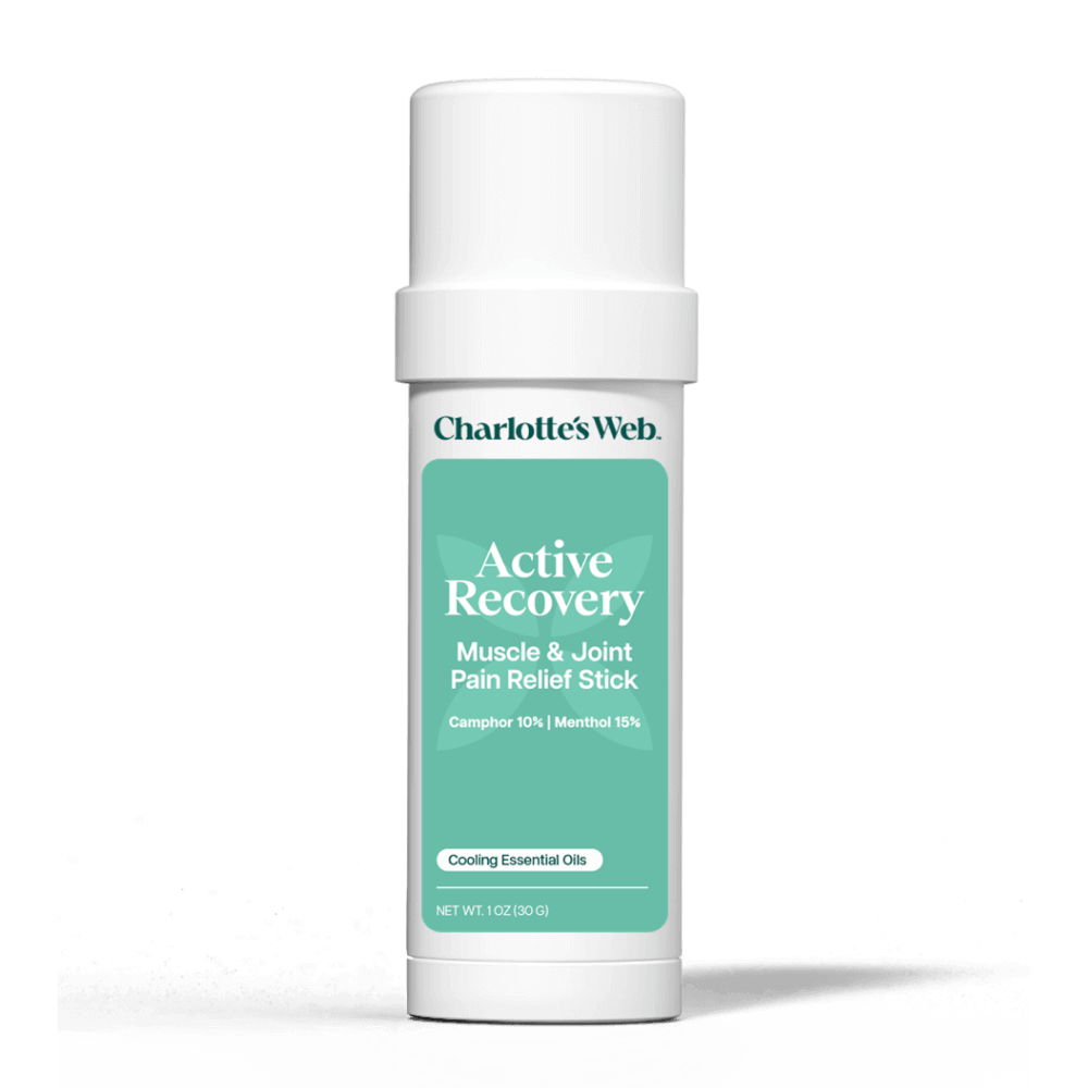 Charlotte's Web Active Recovery Muscle & Joint Pain Relief Stick