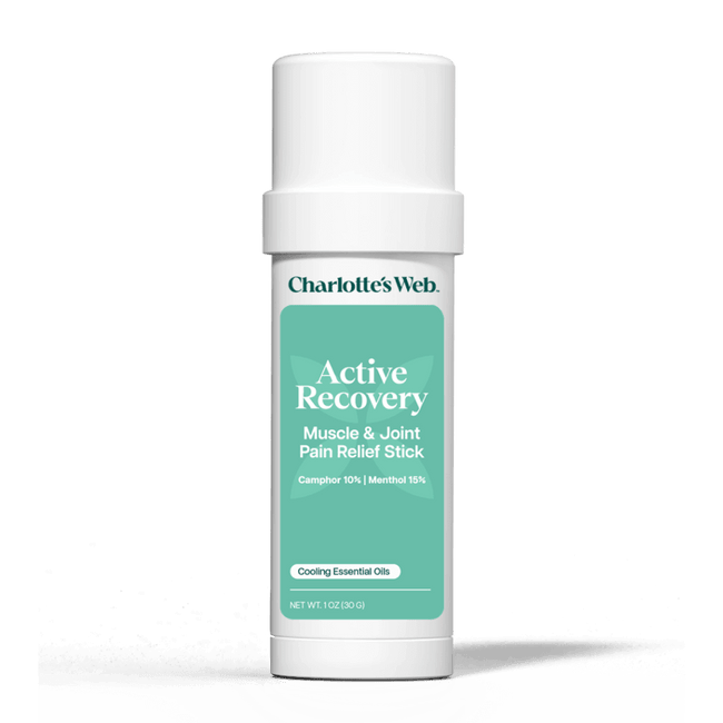 Charlotte's Web Active Recovery Muscle & Joint Pain Relief Stick
