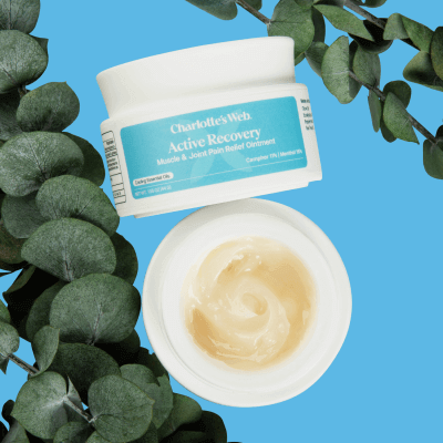 Charlotte's Web Active Recovery Muscle & Joint Pain Relief Ointment