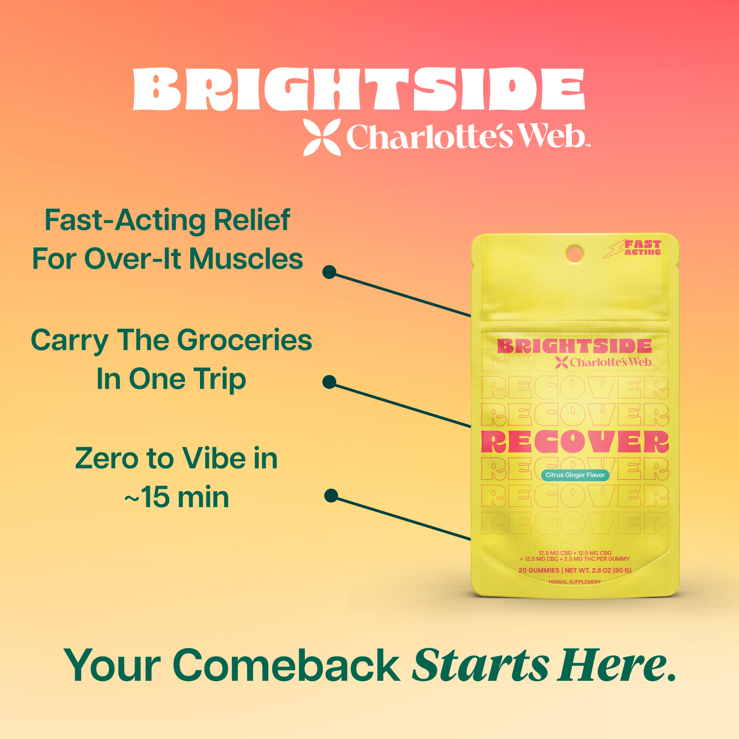 Charlotte's Web Low-Dose THC Gummies Bundle